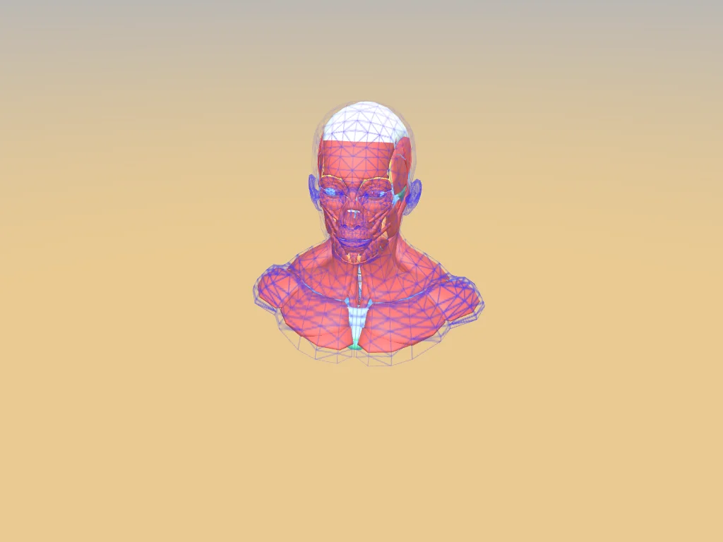 BrainAR