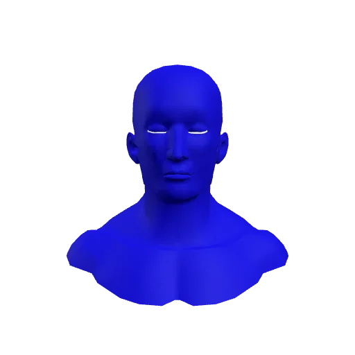 The Brain AR